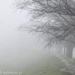Powiększ zdjęcie Gęsta mgła